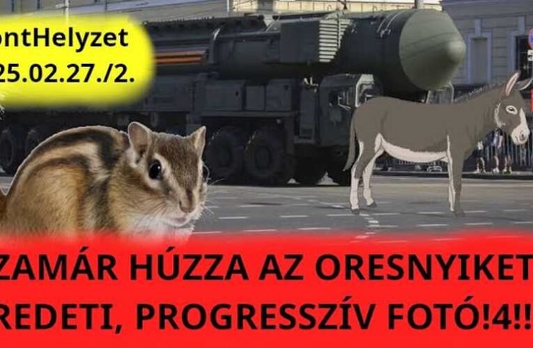 Az észak-koreaiak többször meghaltak, utána hazamentek, most pedig visszatértek Kurszkba!!4!4!!!