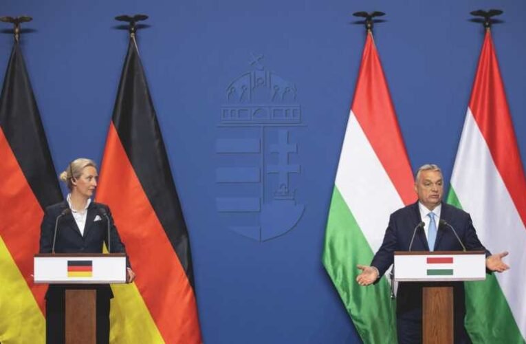 Orbán Viktor: Mindaz, amit az AfD képvisel, jót tenne Magyarországnak (videó)