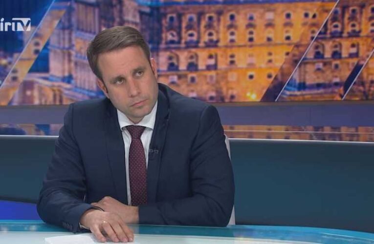 A Tisza Pártot támogatja az EP a hazánk elleni jogállamisági eljárás erőltetésével