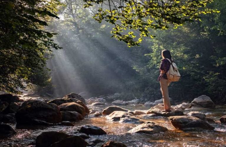 Meszlényi Róbert Imre: A káosztól védelmező határok
