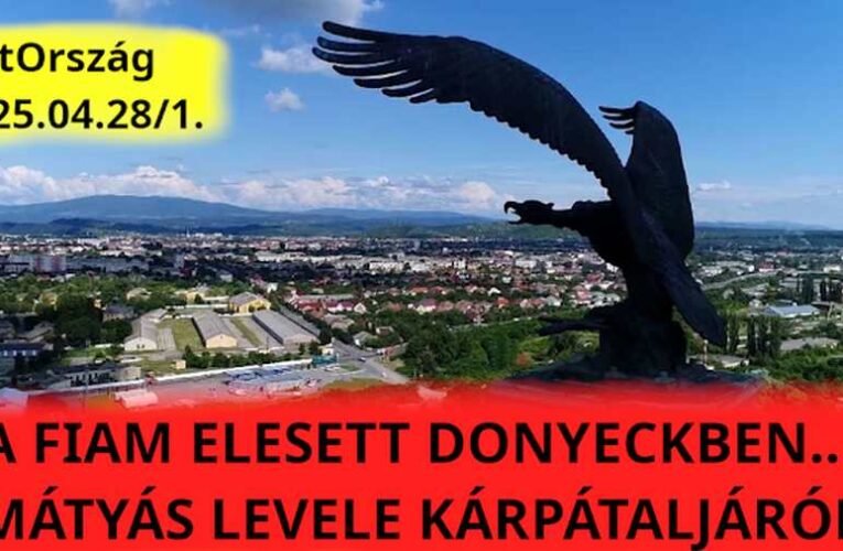 Donyeck… Soha nem voltam én arra, a szívem mégis ott szakadt ki és hullott a földre…