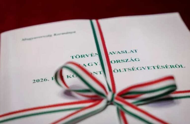 A külgazdasági minisztérium a tőkeerős külföldi cégeket támogatja, melyek megfojtják a hazait