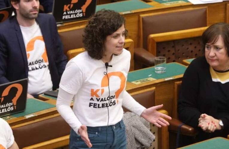 Lemond parlamenti képviselői mandátumáról a momentumos Orosz Anna
