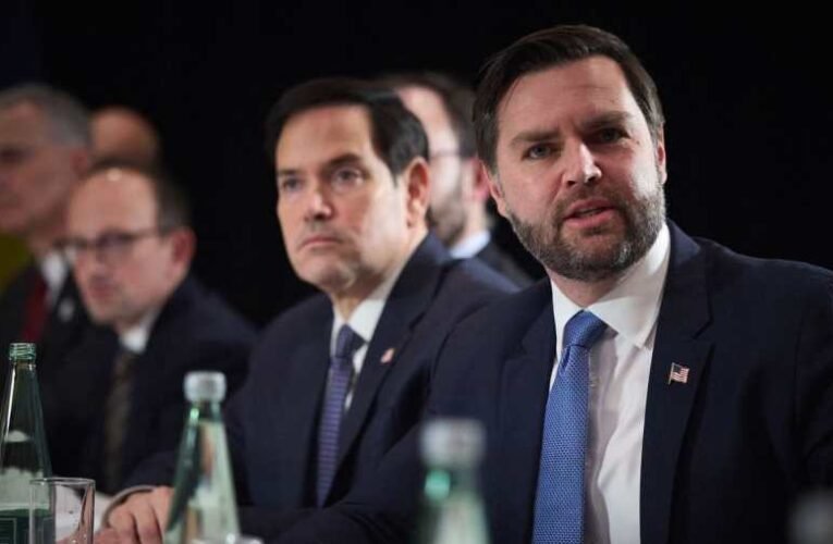 Az amerikai alelnök védelmébe vette az AfD-t