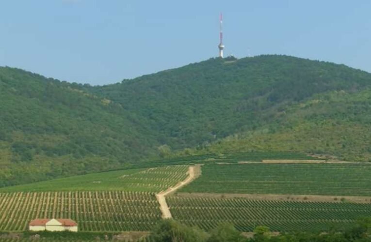 Ukrán drónt lőhetett le a honvédség Tokaj fölött