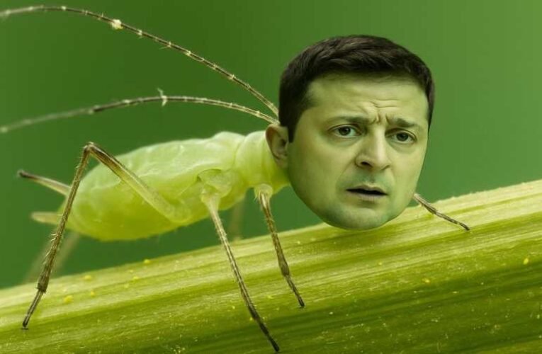 Medvegyev elmagyarázta, miért akar Zelenszkij háromoldalú Trump-Putyin találkozót