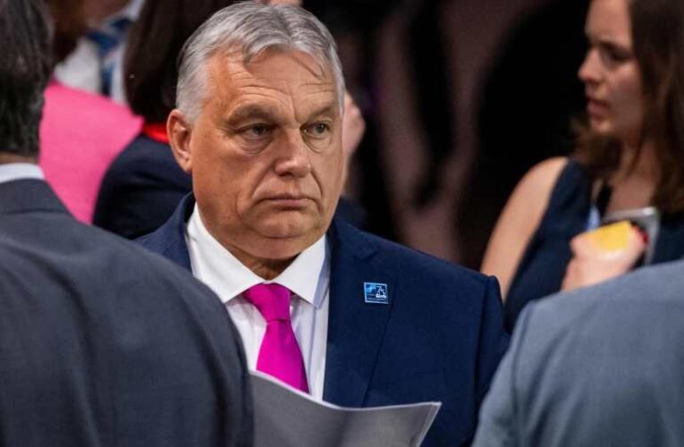 Levédia krónikása: Célegyenesben a „Nagy Terv”