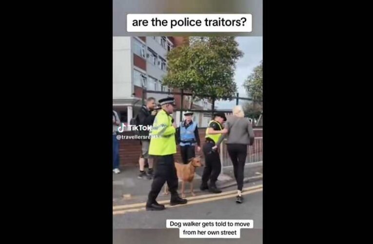 Ismét egy megdöbbentő videó Nagy-Britanniából: Csak óvatosan a kutyasétáltatással!