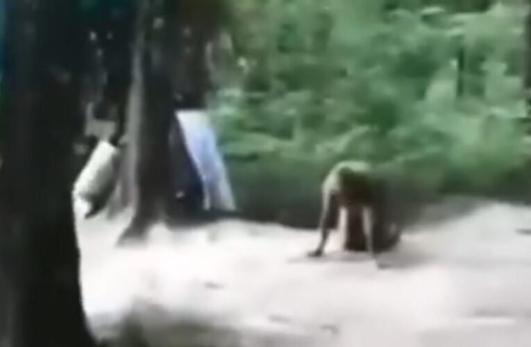 Ezt a felvételt az egész világnak látnia kell: videó a meggyötört Sebestyén Józsefről (18+)