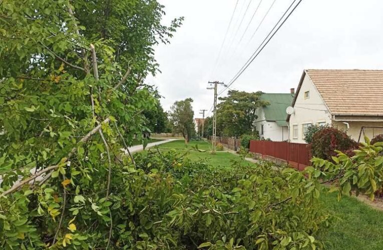 Nagyarányú Eon-os természetkárosítás és károkozás Besnyőn