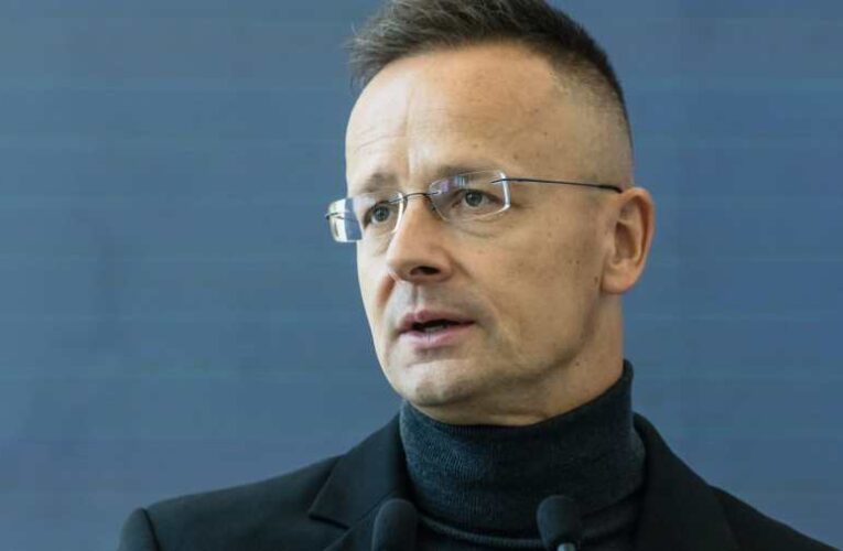 Kiemelt kép: Szijjártó Péter külgazdasági és külügyminiszter- MTI/Katona Tibor