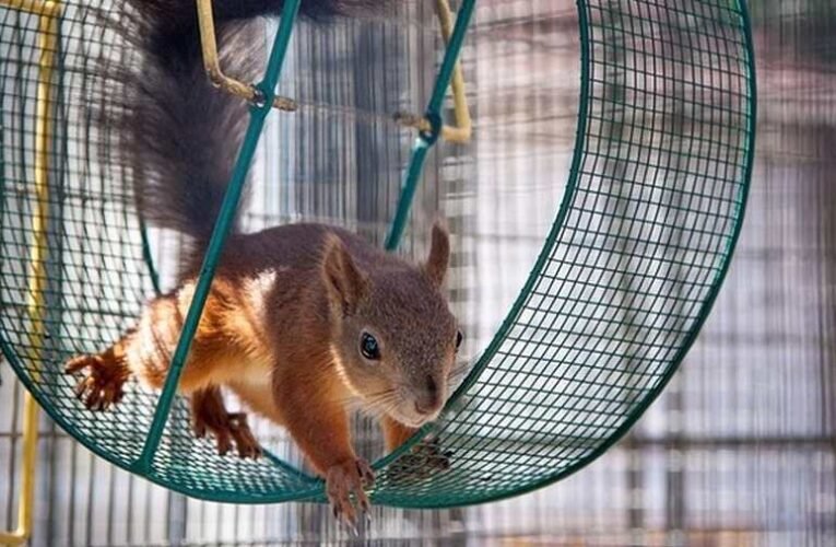 Milyen lesz az új világrend?