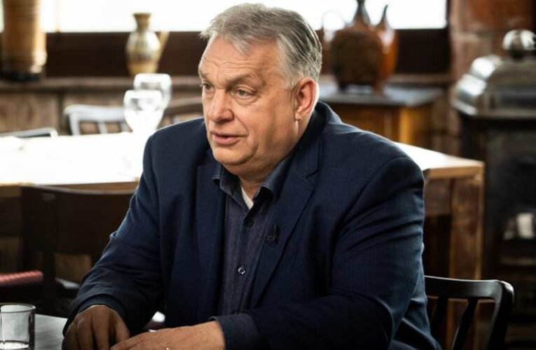 „Tigrisek vagyunk, nem nyulak” – Egy korszak vége, egy másik kezdete