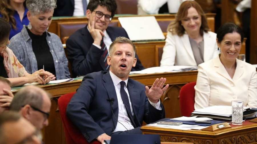 Magyar Péter, roma szervezetek, örökbefogadás
