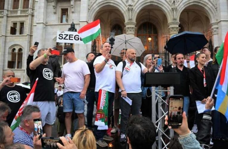 Migrációs paktum, Magyarország, tüntetés