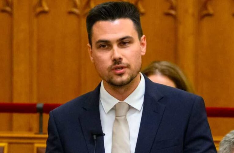 Szűcs Gábor a parlamentben leplezte le Magyar Péter hazugságait: beleállt a Tisza-párt elnökébe