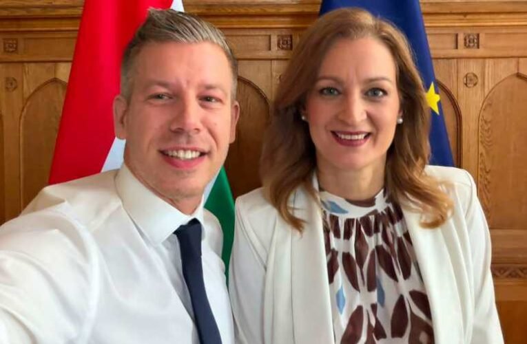 Botrány és aljasság: Magyar Péter egy Facebook-kommentben rúgta ki az Országgyűlés új főigazgatóját!