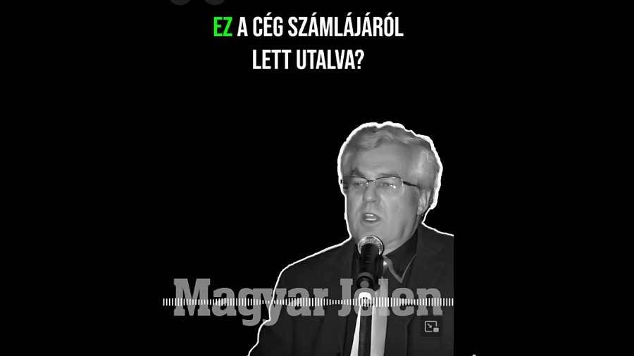 Magyar Péter apja, Magyar István