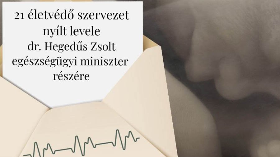 Életellenes kísérlet a Tisza-kormánynál: kizárták a magyar életvédőket | NIF