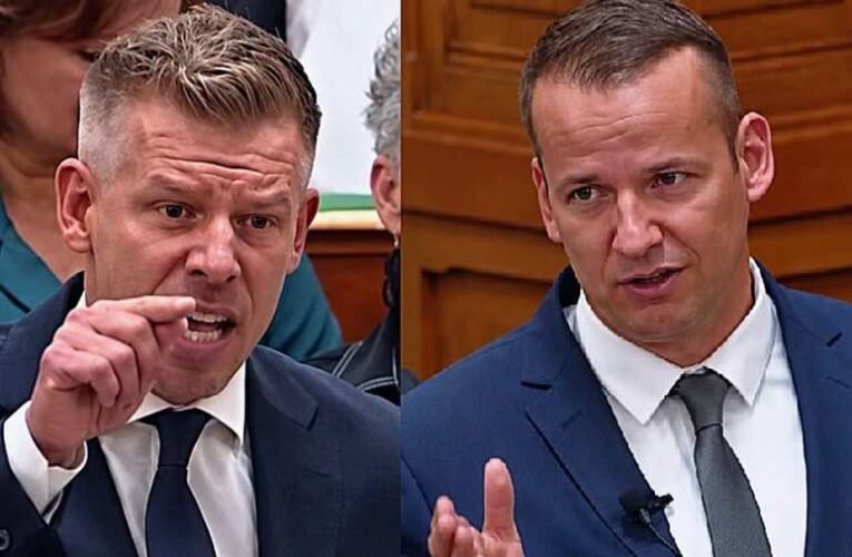 Mandula Viktor: Férgezés a parlamentben – De ki az ország valódi gyűlöletdílere? | NIF
