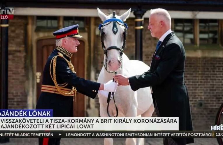 De most komolyan: ezek tényleg hülyék! – A Tisza-kormány ajándékba küldött lovakat követel vissza a brit királyi udvartól