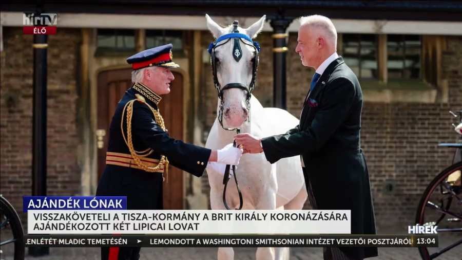 De most komolyan: ezek tényleg hülyék! – lovakat követel vissza a Tisza-kormány | NIF
