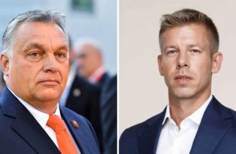 Alkotmányos rend elleni szervezkedéssel vádolja az elmebeteg Magyar Péter Orbán Viktort